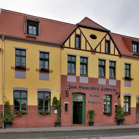 Gasthaus Und Pension "Zum Hauenden Schwein" Wörlitz Екстериор снимка