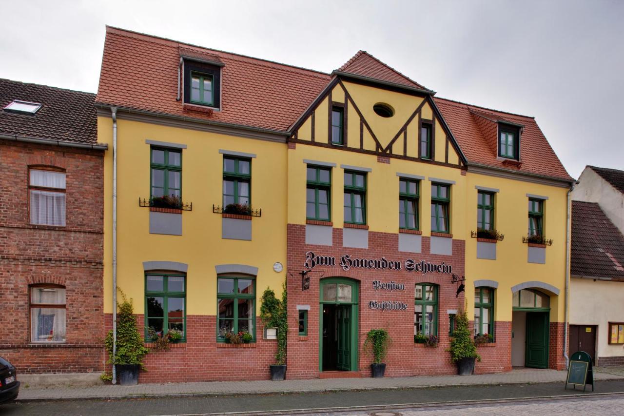 Gasthaus Und Pension "Zum Hauenden Schwein" Wörlitz Екстериор снимка